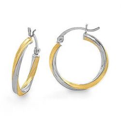 1.6gm 14k Two Tone Gold Hoop Earring 2.00 mm