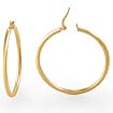 2.10 gm 14k Yellow Gold Plain Round Italian Hoop Earrings 2.5mm